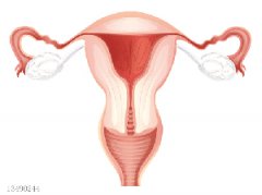 子宫性不孕又是哪些原因引起的呢?